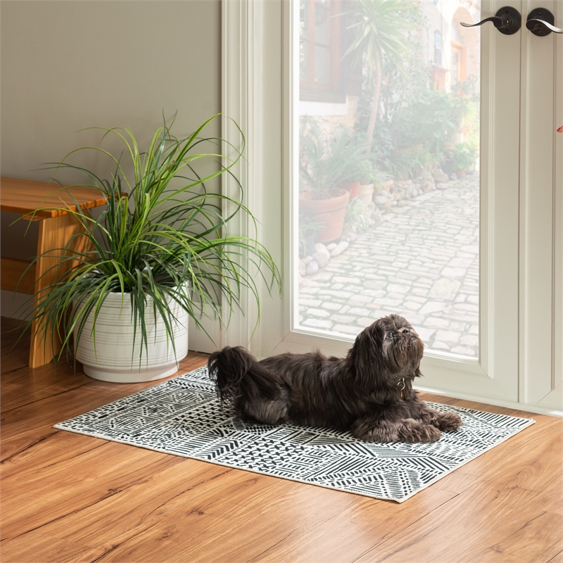 Linon Washable Kylen Polyester 2'x3' Rug in Ivory