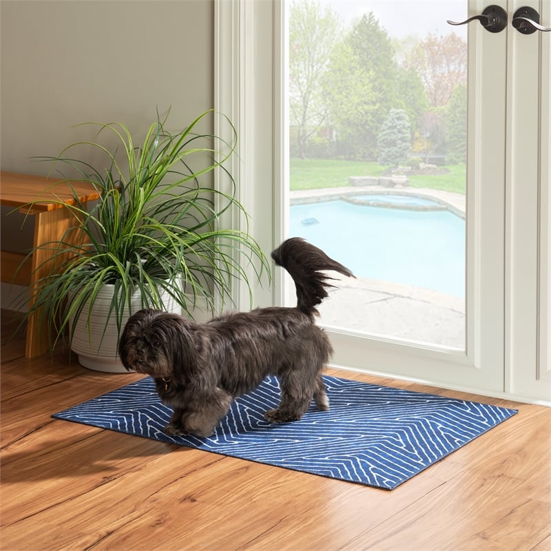Linon Washable Lathan Polyester 2'x3' Rug in Blue