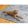 Linon Washable Zayd Polyester 5'x7' Rug in Gray
