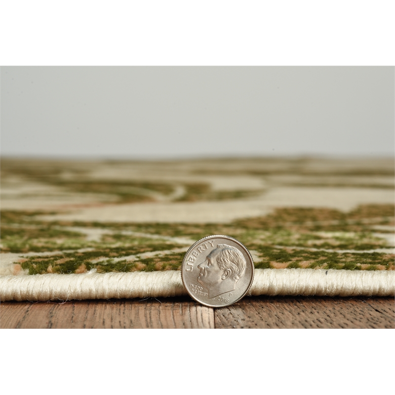 Linon Vintage Amore Polyester 8'x10' Rug in Sand and Green