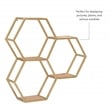 Linon Josia Iron and Wood Wall Storage and Display Shelves in Gold