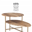 Linon Devyn Two Tiered Wood and Metal Coffee Table in Natural and Gold