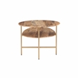Linon Devyn Two Tiered Wood and Metal Coffee Table in Natural and Gold