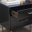 Linon Dylan Wood Nightstand with 2 Drawers and Gold Accents in Black