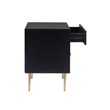 Linon Dylan Wood Nightstand with 2 Drawers and Gold Accents in Black