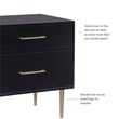 Linon Dylan Wood Nightstand with 2 Drawers and Gold Accents in Black