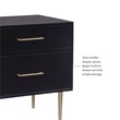 Linon Dylan Wood Nightstand with 2 Drawers and Gold Accents in Black