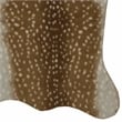 Linon Faux Hide Polyester Antelope Area Rug in Beige and White