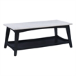 Linon Pace Coffee Table White Marble Top Wood Base/Shelf in Rustic Gray Finish