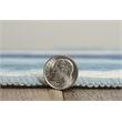 Linon Indoor Outdoor Machine Washable Beck Accent 2'x3' Rug in Ivory and Blue