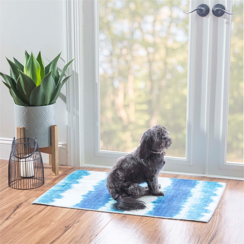 Linon Indoor Outdoor Machine Washable Beck Accent 2'x3' Rug in Ivory and Blue