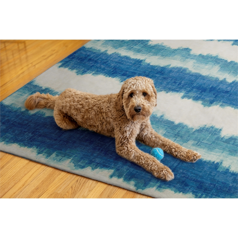 Linon Indoor Outdoor Machine Washable Beck Area 5'x7' Rug in Ivory and Blue