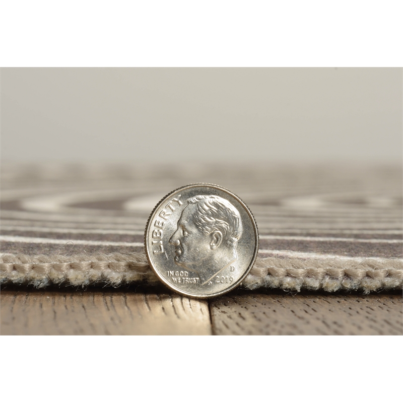 Linon Indoor Outdoor Machine Washable Dana Accent 2'x3' Rug in Ivory and Brown