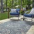 Linon Indoor Outdoor Machine Washable Doria Area 5'x7' Rug in Smoke Gray