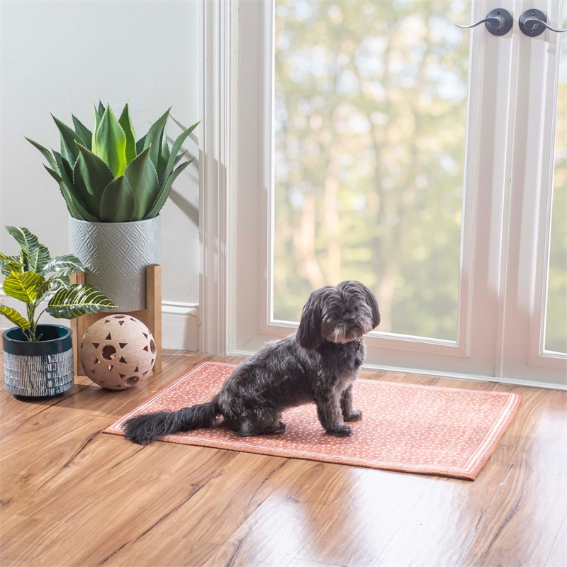 Linon Indoor Outdoor Machine Washable Hama Accent 2'x3' Rug in Orange