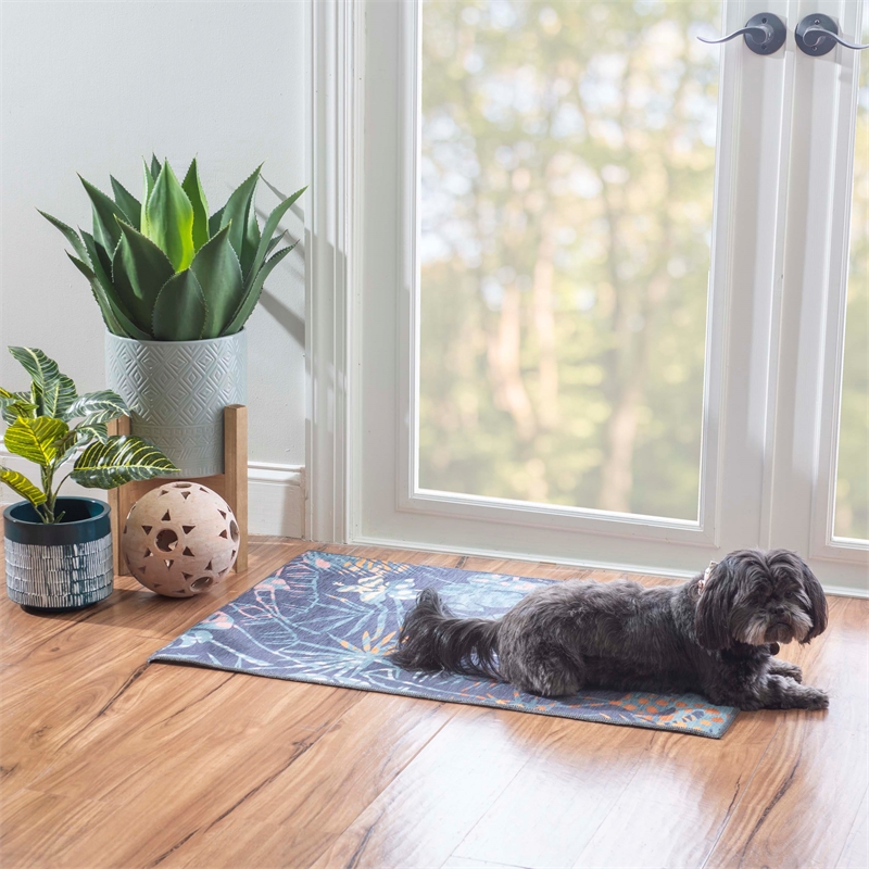 Linon Indoor Outdoor Machine Washable Myrtle Accent 2'x3' Rug in Navy and Gold