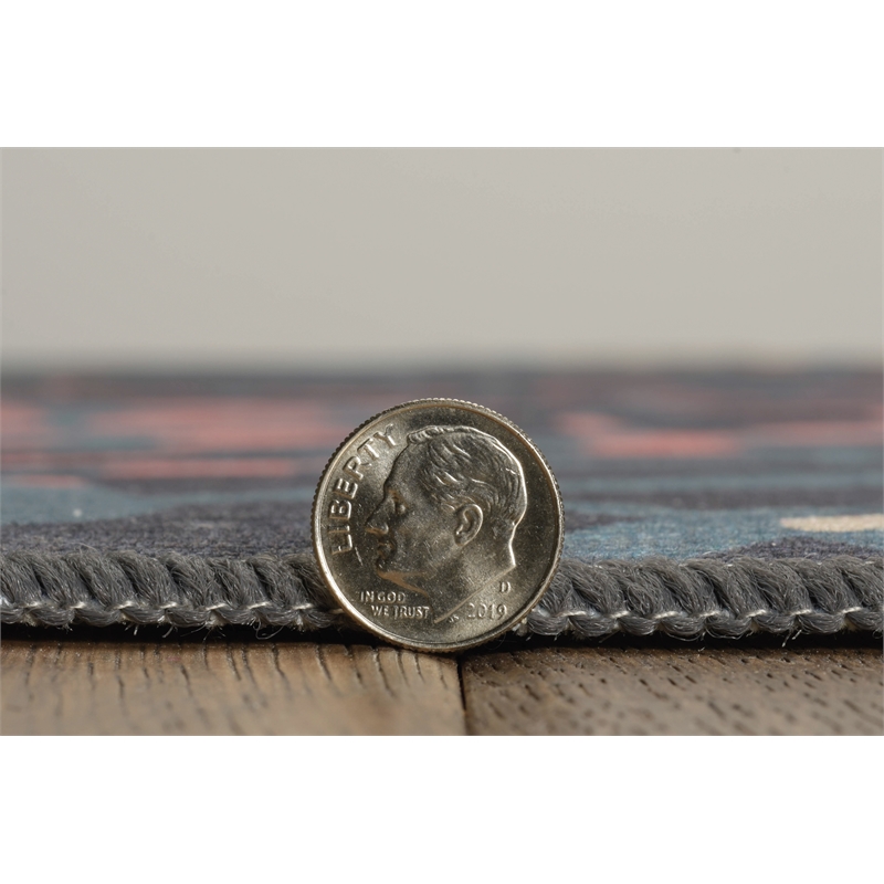 Linon Indoor Outdoor Machine Washable Myrtle Area 5'x7' Rug in Navy and Gold