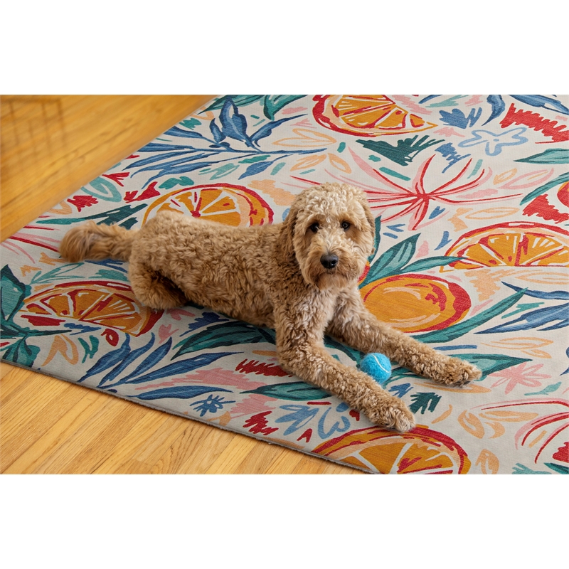 Linon Indoor Outdoor Machine Washable Marin Area 5'x7' Rug in Ivory and Orange