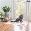 Linon Indoor Outdoor Machine Washable Ridley Polyester Accent 2'x3' Rug in Ivory