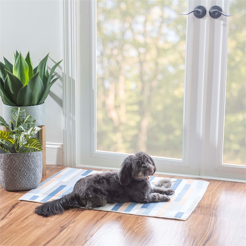 Linon Indoor Outdoor Machine Washable Bali Accent 2'x3' Rug in Ivory and Blue