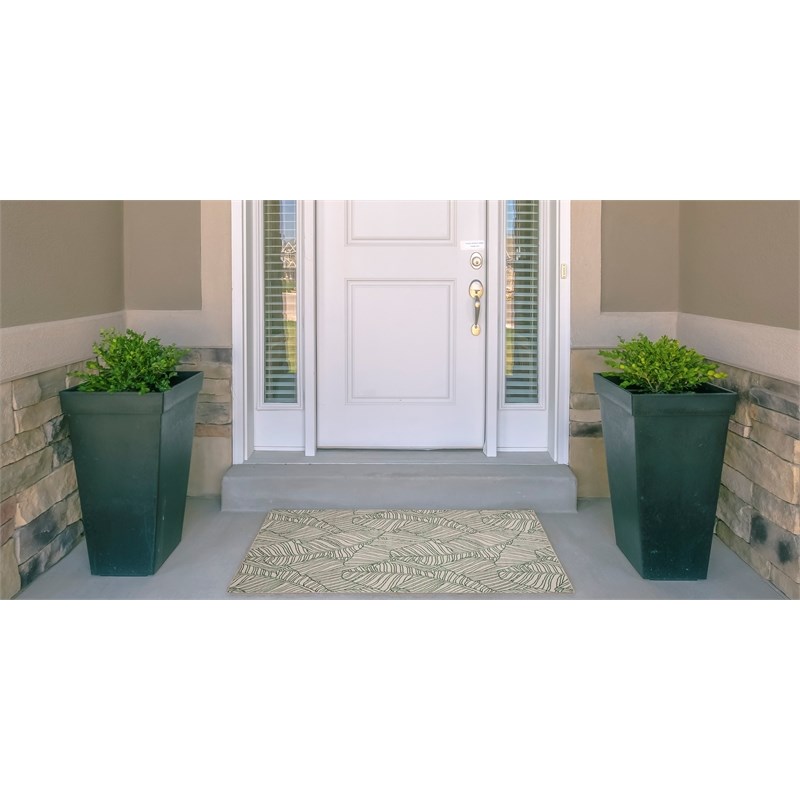 Linon Indoor Outdoor Machine Washable Apia Accent 2'x3' Rug in Ivory and Green