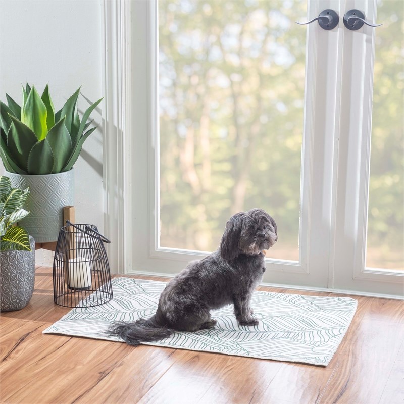 Linon Indoor Outdoor Machine Washable Apia Accent 2'x3' Rug in Ivory and Green