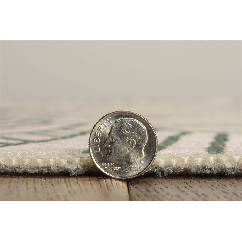 Linon Indoor Outdoor Machine Washable Apia Area 5'x7' Rug in Ivory and Green