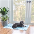 Linon Indoor Outdoor Machine Washable Cayman Polyester Accent 2'x3' Rug in Blue