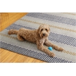 Linon Indoor Outdoor Machine Washable Alfie Area 5'x7' Rug in Ivory and Blue