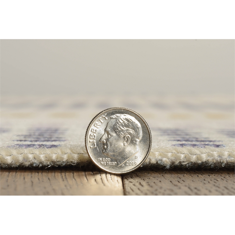 Linon Indoor Outdoor Machine Washable Alfie Area 5'x7' Rug in Ivory and Blue