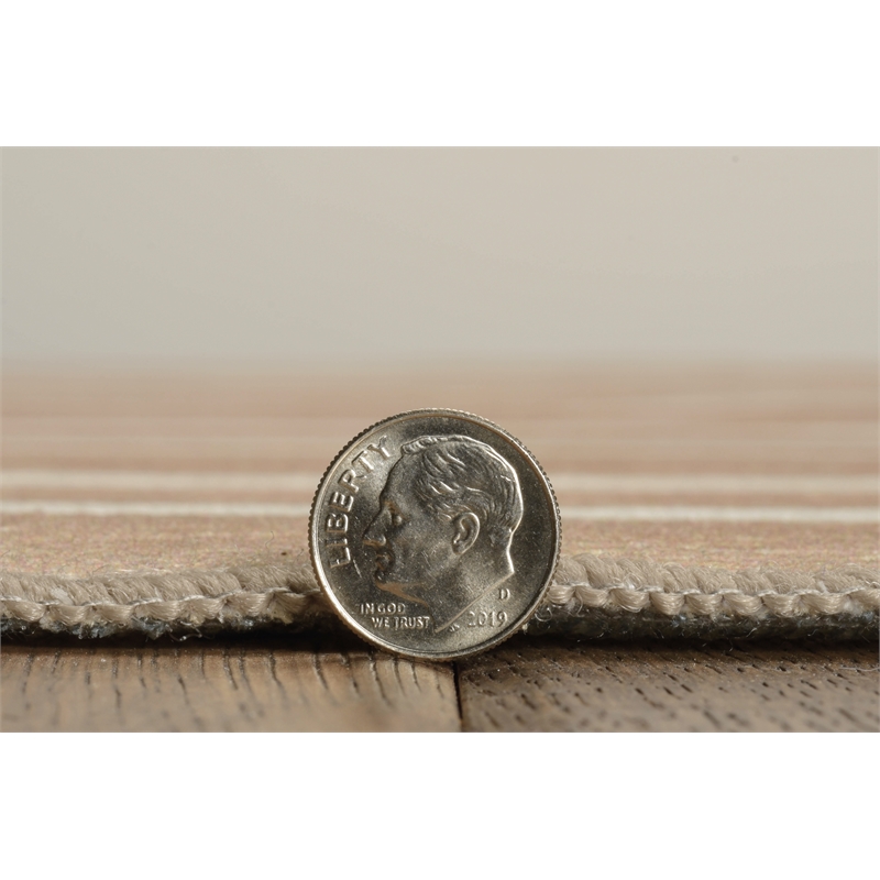 Linon Indoor Outdoor Machine Washable Sydney Area 5'x7' Rug in Tan and Ivory