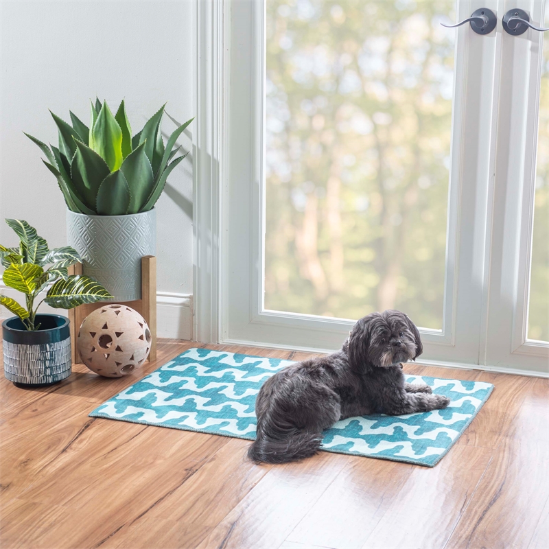 Linon Indoor Outdoor Machine Washable Montane Accent 2'x3' Rug in Aqua Blue