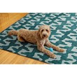 Linon Indoor Outdoor Machine Washable Montane Area 5'x7' Rug in Aqua Blue
