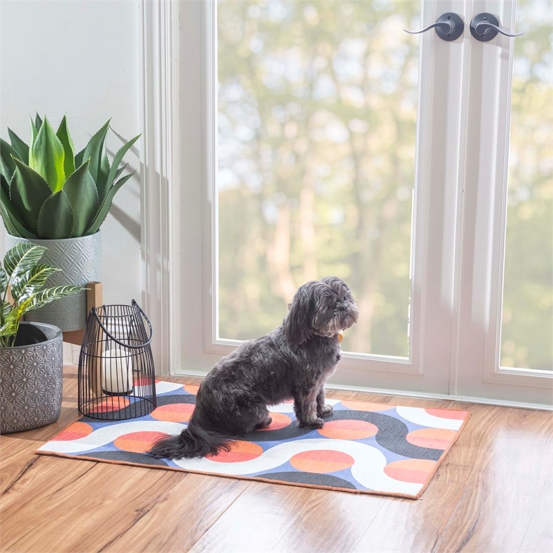 Linon Indoor Outdoor Machine Washable Adira Accent 2'x3' Rug in Orange/Pink