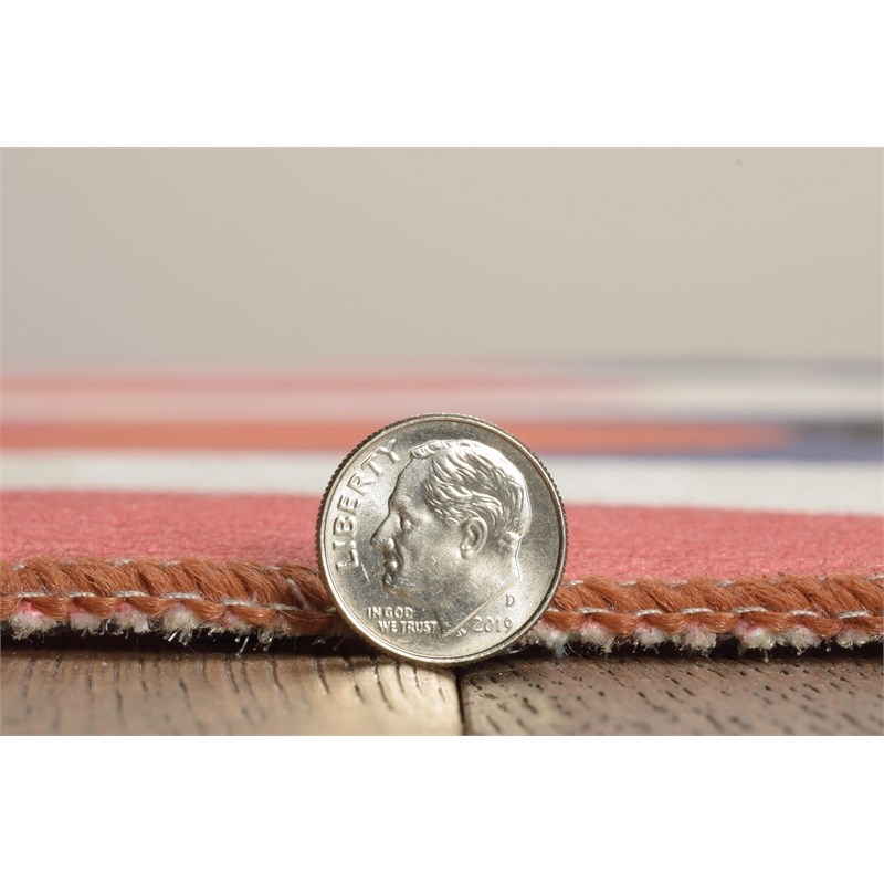 Linon Indoor Outdoor Machine Washable Adira Accent 3'x5' Rug in Orange/Pink