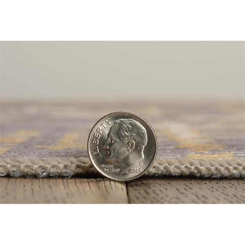 Linon Indoor Outdoor Machine Washable Anthia Accent 3'x5' Rug in Navy and Sand