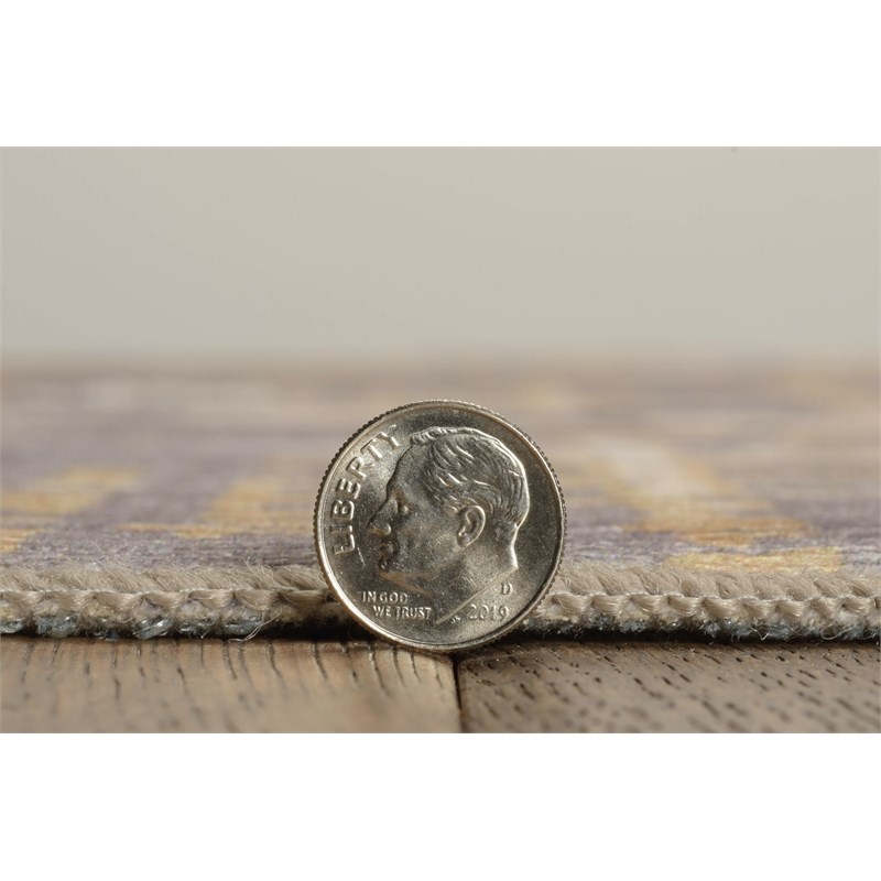 Linon Indoor Outdoor Machine Washable Anthia Area 5'x7' Rug in Navy and Sand