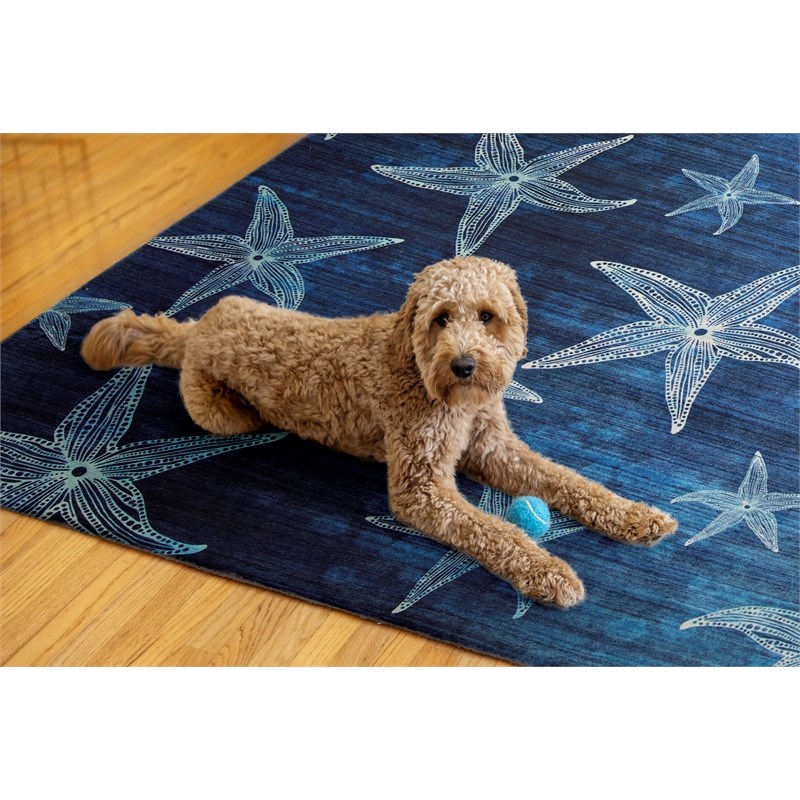 Linon Indoor Outdoor Machine Washable Bondi Polyester Area 7'x 9' Rug in Blue