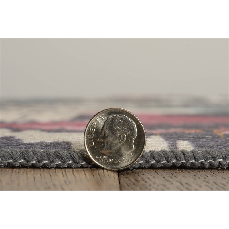 Linon Indoor Outdoor Machine Washable Conch Area 7'x9' Rug in Ivory and Gray