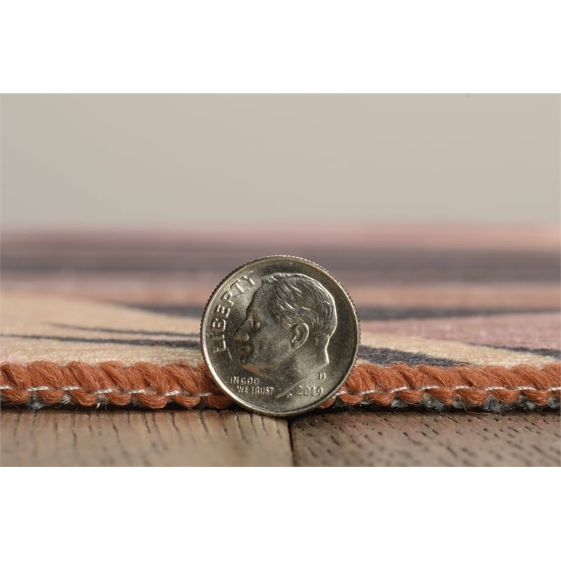 Linon Indoor Outdoor Machine Washable Luna Area 7'x9' Rug in Orange and Cream