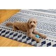 Linon Indoor Outdoor Machine Washable Skip Area 7'x9' Rug in Ivory and Blue