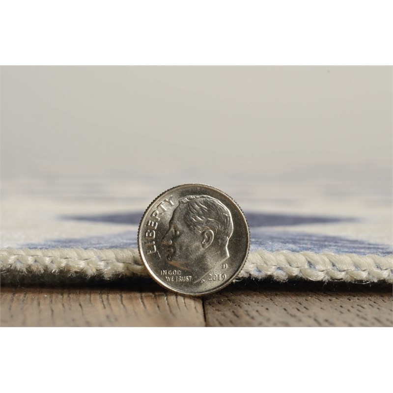 Linon Indoor Outdoor Machine Washable Skip Area 7'x9' Rug in Ivory and Blue