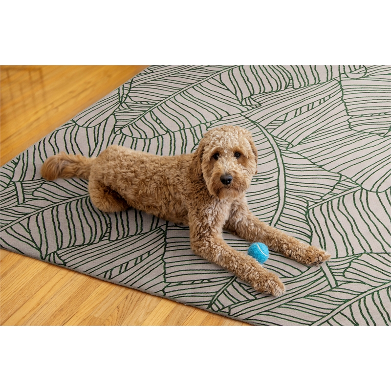 Linon Indoor Outdoor Machine Washable Apia Area 7'x9' Rug in Ivory and Green