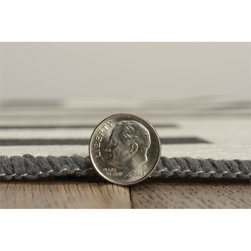 Linon Indoor Outdoor Machine Washable Kona Area 5'x7' Rug in Ivory and Black