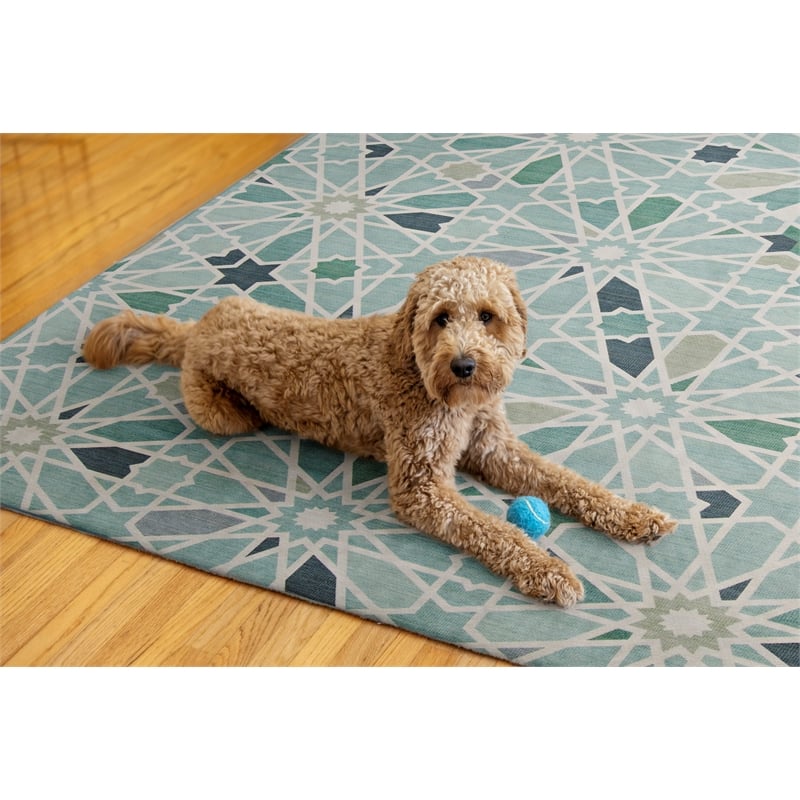 Linon Indoor Outdoor Machine Washable Baffin Area 7'x9' Rug in Green and Ivory