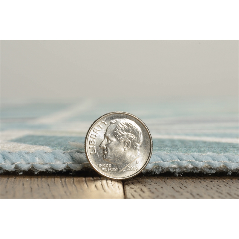 Linon Indoor Outdoor Machine Washable Baffin Area 7'x9' Rug in Green and Ivory