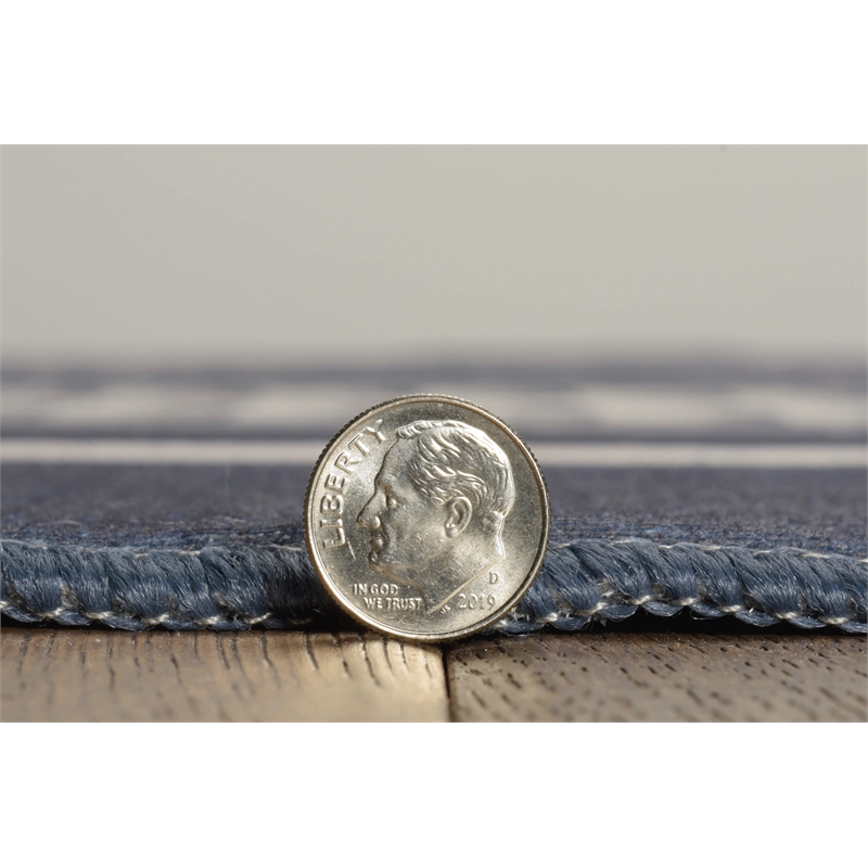 Linon Indoor Outdoor Machine Washable Danton Accent 2'x3' Rug in Navy