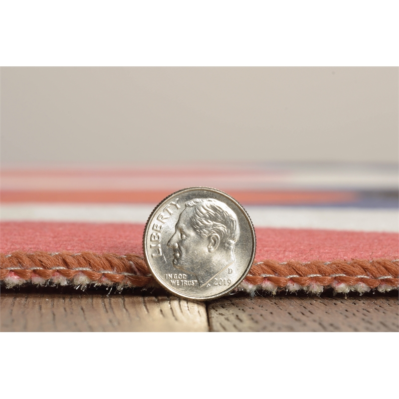 Linon Indoor Outdoor Machine Washable Adira Area 7'x9' Rug in Orange and Pink