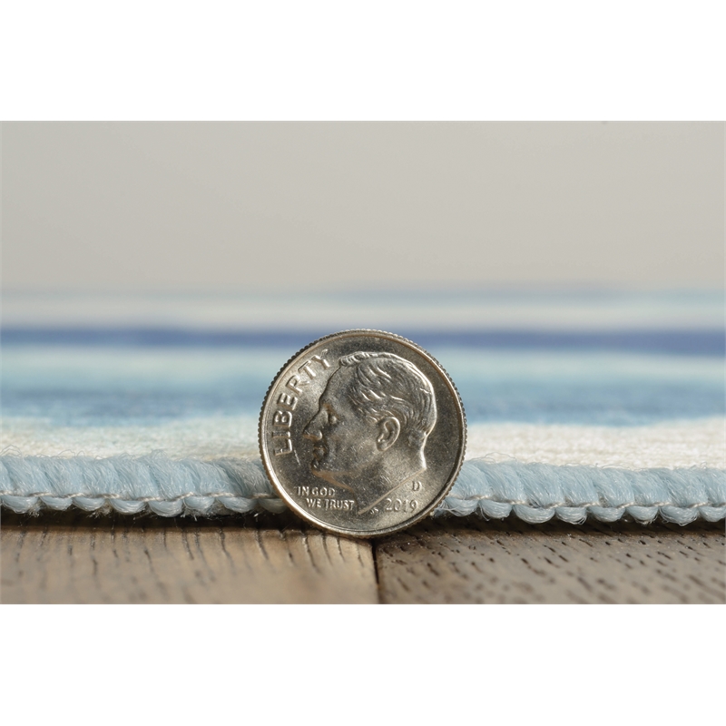 Linon Indoor Outdoor Machine Washable Beck Area 7'x9' Rug in Ivory and Blue