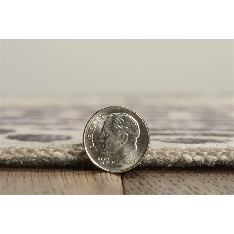 Linon Indoor Outdoor Machine Washable Ezili Area 7'x9' Rug in Ivory and Brown